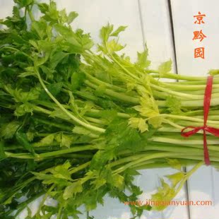  【京黔园】绿色食品优质蔬菜 小芹菜 香芹 北京买菜当天送到家