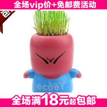 淘气郎红脸 迷你植物草娃娃 室内盆栽(红色) 有氧植物 150g