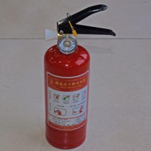 神龙 车用/家用灭火器 车载灭火器 汽车灭火器 干粉灭火器 0.5KG