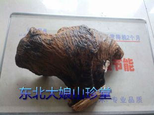  100%长白山 野生灵芝 高寒 赤芝 抗肿瘤 假一赔百 单个卖