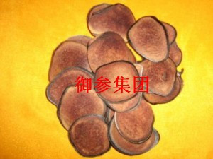  长白山特级鹿茸片  鹿茸 鹿茸血片头茬茸  促销价特实惠效果好