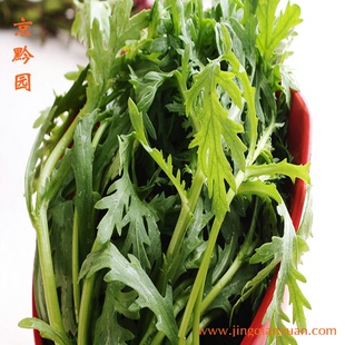  【京黔园】绿色蔬菜 蒿子杆 茼蒿 北京买菜配送到家