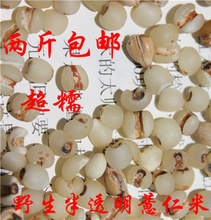 中挝边境野生半透明薏仁米250g 两斤包邮超糯薏米仁 美白祛斑减肥