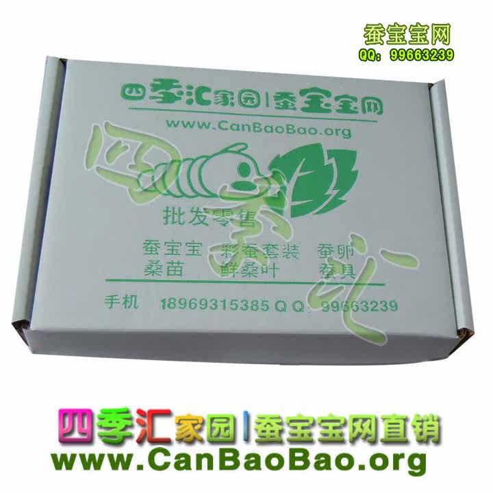淘金币-彩蚕套装礼盒装 蚕宝宝 彩色饲料 饲料5根装  儿童礼物