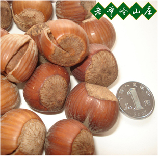 东北长白山老爷岭野生大榛子，超薄皮250G仅售22元