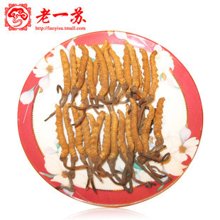  老一苏正品 西藏拉萨虫草 那曲冬虫夏草 特级品质 礼盒 4条/克