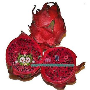  {大鹏果品} 进口越南绝对有机红心（瓤）8-9个火龙果原箱新鲜水果