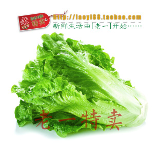  老一特卖 本地生菜 新鲜蔬菜 生菜 便宜2.9元500克