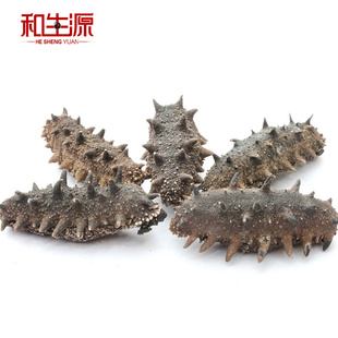  再送15小头 5A极品刺参 纯淡干海参 大连海参干货 辽参5-16只50g