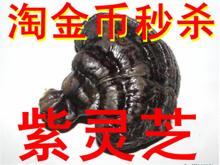  产地批发东北正宗椴木紫灵芝正品半野生高血压三高免费切片包邮