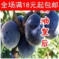 日本花王染发剂 BLAUNE<em>局部白发</em>睫毛式免冲