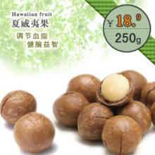 【巧滋味】进口坚果零食品批发 澳洲特产夏威夷果250g 满50包邮