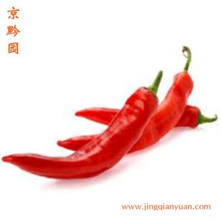  【京黔园】绿色食品优质蔬菜 红长辣椒 北京买菜当天送到家