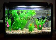 小型生态玻璃鱼缸/水族箱/金鱼缸/50CM 大促销  狂送大量礼品！！