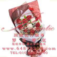 ����\3Сʱ�ʻ��ٵ�\9��õ��2��õ��\H507����һ����Զ��\����