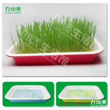 小麦草种植盘/培育盘/育苗盘  双层带接水盘 环保塑料结实耐用