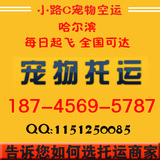 taobao english 8112974845