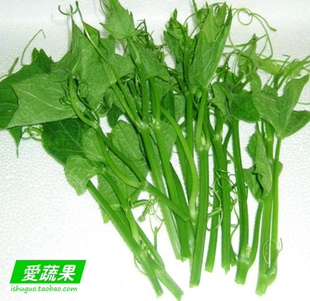  【爱蔬果】绿色新鲜蔬菜 丝瓜尖 北京同城配送