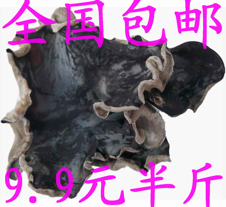 白背黑木耳包邮毛木耳干货批发比东北黑木耳便宜几倍饭店用巨划算