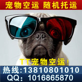 taobao english 2824273463