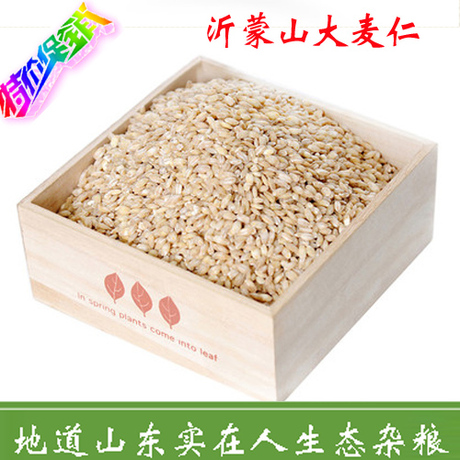 优质大麦仁 农家自种大麦米250g大麦粒 助消化