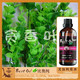 BESTOIL比奥纯水溶性植物精华尤加利花水纯露