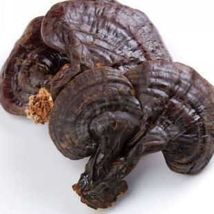  小土哥 长白山紫灵芝200g 上品灵芝 产地发货 正品保证 3件包邮