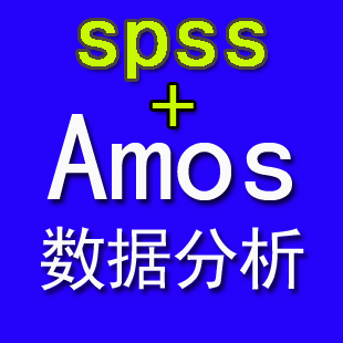 代写spss Amos数据分析\/统计\/调查问卷\/建模\/数