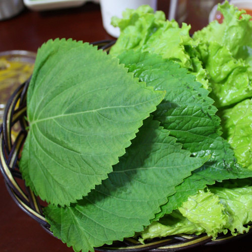 新鮮蘇子葉 新鮮綠色蔬菜 31號停止發貨在類目 水產肉類/新鮮蔬果/熟食, 新鮮蔬菜/蔬菜製品, 新鮮蔬菜, 土豆中 - 來自Buy2taobao.com提供專業的淘寶代購服務