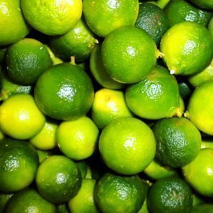  新鲜水果 海南小青桔 青柠檬茶原料 冰桔茶 青金桔 1斤装
