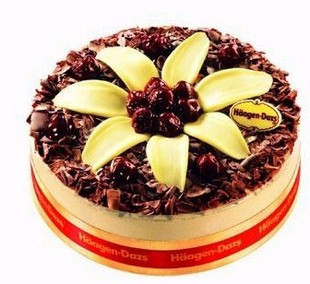  武汉哈根达斯蛋糕8寸黑森林蛋糕/武汉蛋糕市区速递免费比仟吉好吃