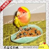 taobao english 12539212323