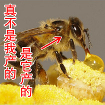 【精选】奥兰麦卢卡蜂蜜十大品牌,奥兰麦卢卡