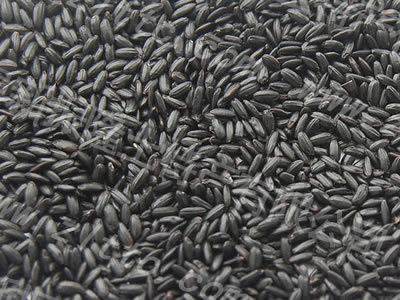 New products mainland Produce China Harbin Heilongjiang Province edible Coarse grains Whole grains Fragrant Rice Black ricein the Agri rice/Dried foods/Condiment , Meter/Flour/Grains , Rice , Black rice category - from Buy2taobao.com to provide professional Taobao agent buy service