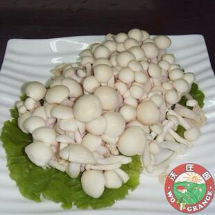  沃庄园新鲜白玉菇150g/盒,防癌抗癌绿色食品新鲜蔬菜今日秒杀
