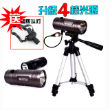 taobao english 12200829861