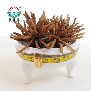  三江源牌青海冬虫夏草产地直销 天然极品虫草王级3根/g送礼盒包邮