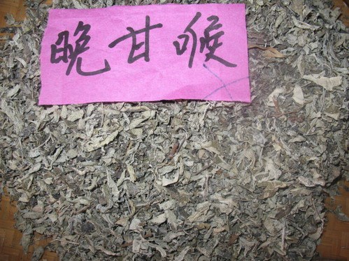 正宗福建武夷山岩茶叶晚甘喉管家婆夏天凉茶系列春季茶农自产直销|ruв категории чай, чай улун (новый), Другие чай улун - от Buy2taobao.com для оказания профессиональной услуги покупки агента Taobao