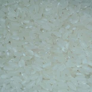  特价 新粳米 本地特色大米 有机杂粮 包邮 淘粮居 500g