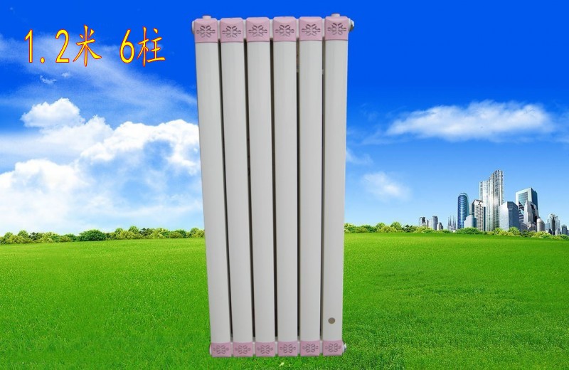 暖气片换热器家用 散热器 热水交换器铜管暖气片过水热在类目 全屋定制, 地暖/暖气片/散热器, 暖气片/散热器中 - 来自Buy2taobao.com提供专业的淘宝代购服务