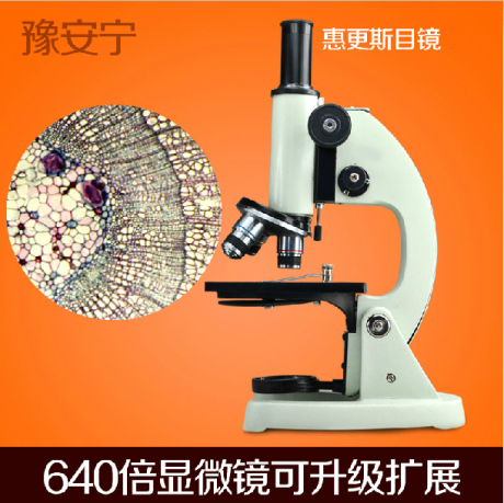 专业光学生物 显微镜640倍 单目便携儿童凤凰