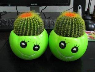 花卉/绿植盆栽,秒杀特价 <em>十姐妹</em>蔷薇3年苗 销量