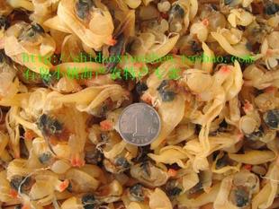  威海特产野生黄蚬子肉 特级海鲜蛤肉蛤蜊干海蛎干度适中 特价促销