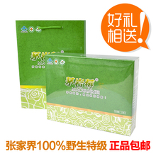 张家界野生特级 莓茶 茅岩莓 咽炎老慢支 正品保健茶 66包X2克