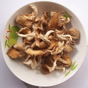 山特野生特产蘑菇干鸡腿菇好吃鹰翅平菇25生蚝吃几个可以硬图片