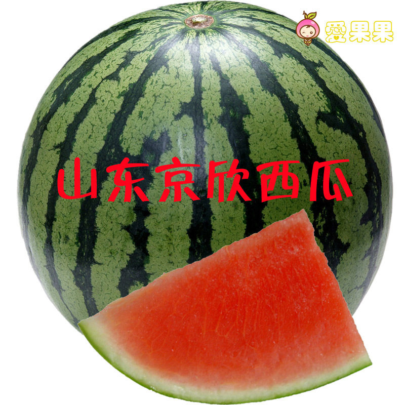 <em>因内希 男士内裤</em> U凸升级版 莫代尔 防勒 U凸囊