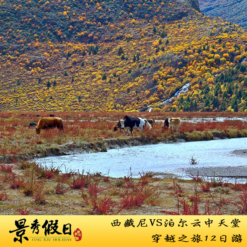 西藏旅游尼泊尔旅游拉萨出发珠穆朗玛峰12日跟团品质纯玩游无购物 西藏旅游尼泊尔旅游拉萨出发珠穆朗玛峰12日跟团品质纯玩游无购物