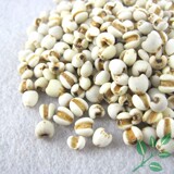 十元不限重 贵州小薏米仁 真空包装 香苡仁茶 优质农家杂粮 500g