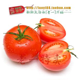  老一特卖 西红柿 无公害西红柿 农家番茄 新鲜有机蔬菜 4.80/500g