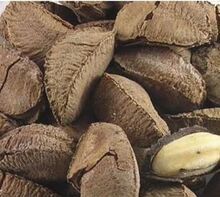 疯狂热卖！ 巴西坚果新炒 特级鲍鱼果 飘香上市250g 14.5元